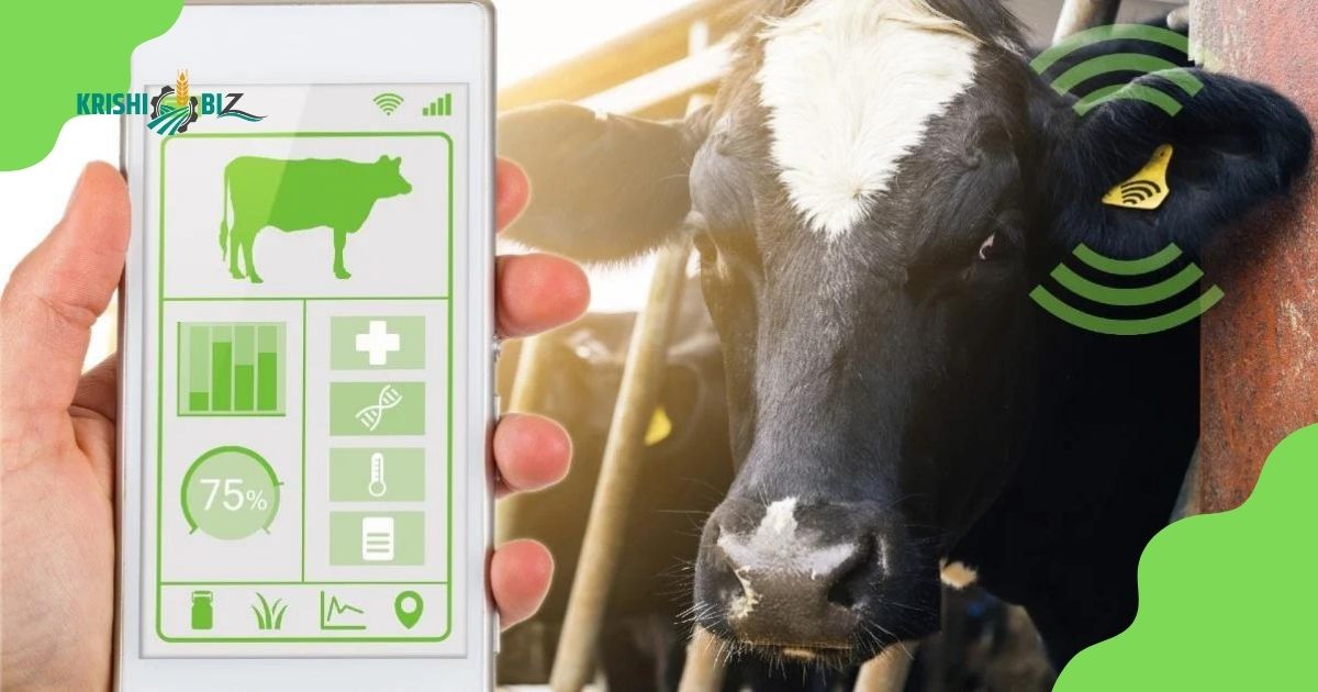 मवेशियों के लिए Health Tracking Device