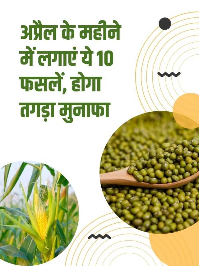 April ki kheti इस महीने में लगाएं ये 10 फसलें