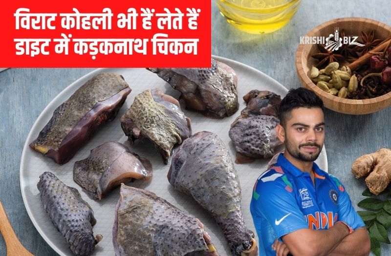 Kadaknath Poultry Farming