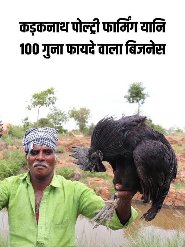 Kadaknath Poultry Farming