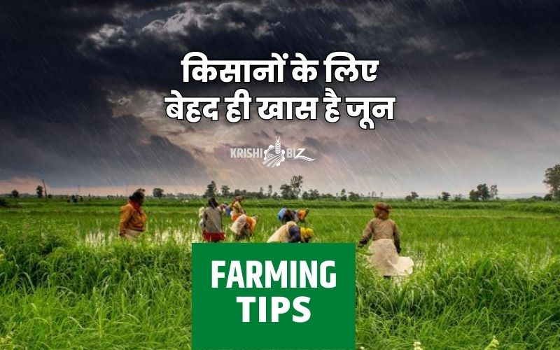 Farming Tips किसानों के लिए बेहद ही खास है जून