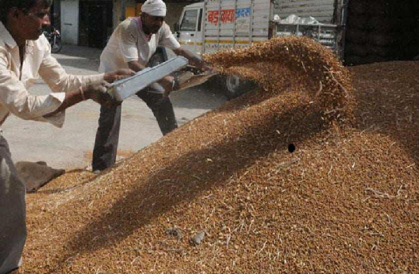 Sarkar Ne Badai Chana Kharid Ki Akhri Tarikh | किसान अब इस दिन तक बेच सकेंगे एमएसपी पर चना