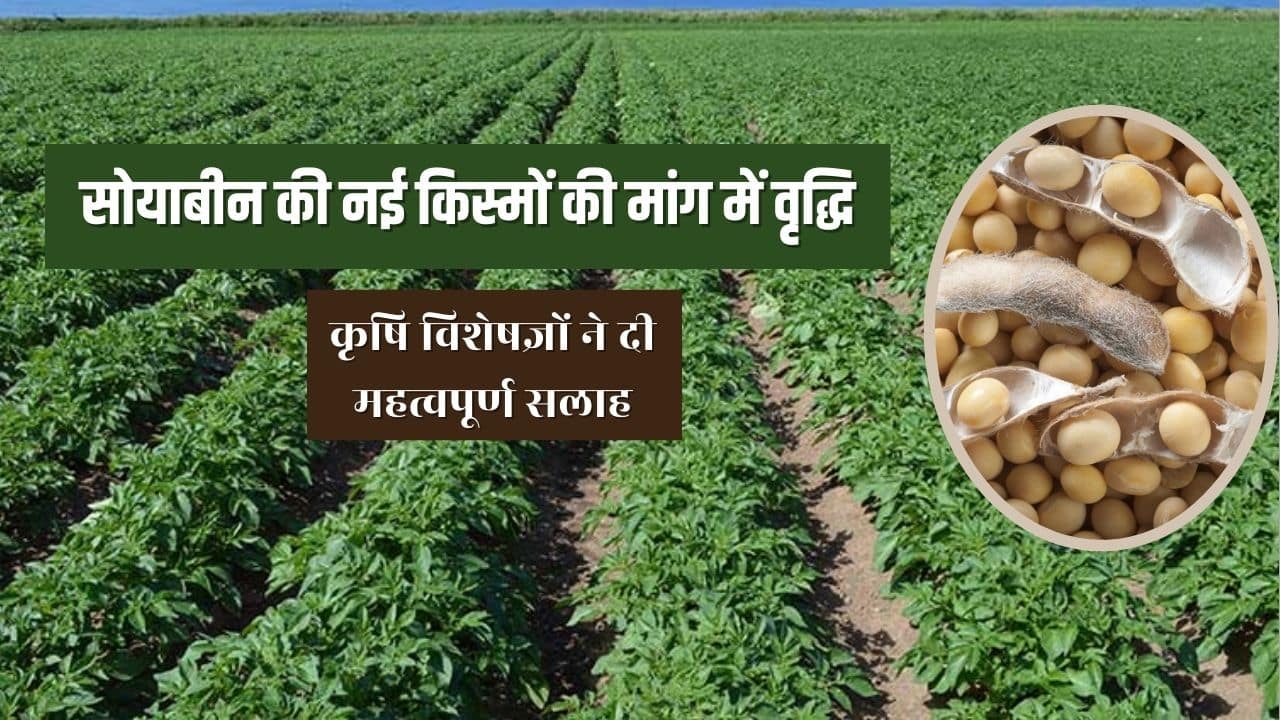 New Varieties Of Soybeans 2022 | की मांग में वृद्धि