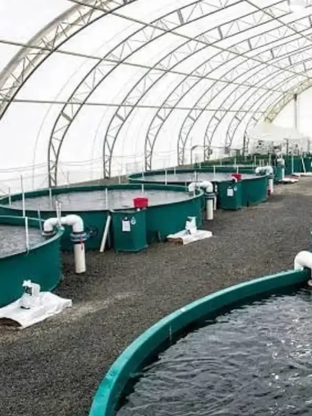 Fish farming with biofloc technology  लागत, मुनाफा, फायदे