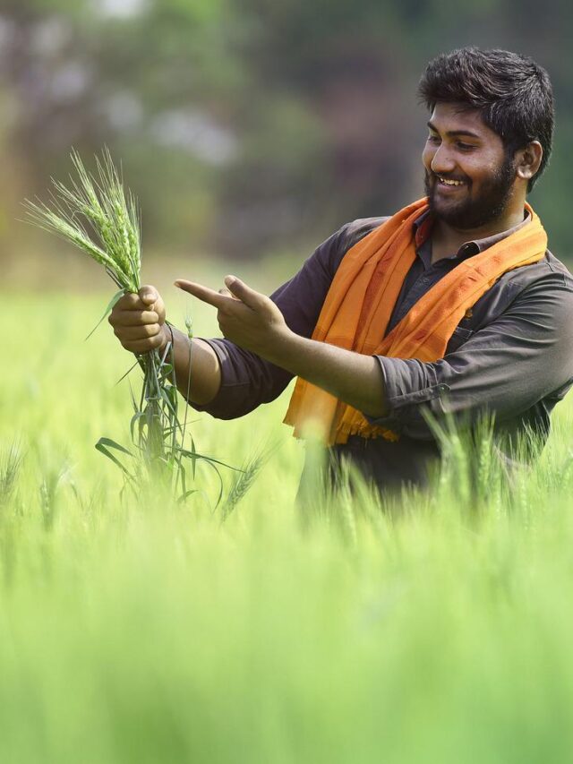 फसल राहत योजना से किसानों को 20 हजार का मुआवजा मिलेगा