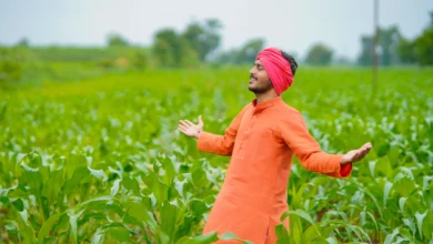 गांव में शुरू करे 10 कृषि फार्मिंग व्यवसाय