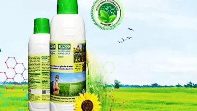 Nano DAP से रबी फसलों की बढ़ेगी पैदावार, देश में शुरू होंगे आठ प्लांट