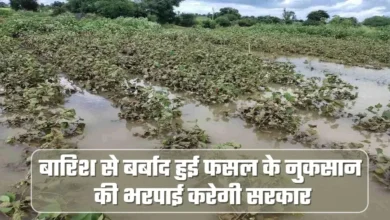 mp-farmers-news-2022 बारिश से बर्बाद हुई फसल के नुकसान की भरपाई करेगी सरकार