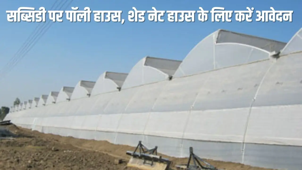 सब्सिडी पर poly house, शेड नेट हाउस लगाने हेतु आवेदन करें