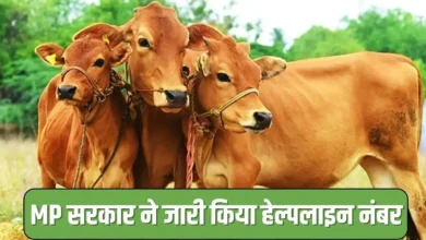 लम्पी स्किन डिजीज 2022 MP सरकार ने जारी किया हेल्पलाइन नंबर