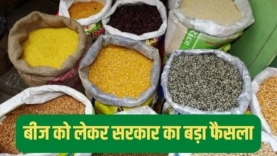 दलहन, तिलहन के बीज को लेकर सरकार का बड़ा फैसला