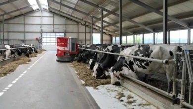 नेशनल डेयरी स्कीम डेयरी किसानों को मिले 27,500 करोड़ रुपए