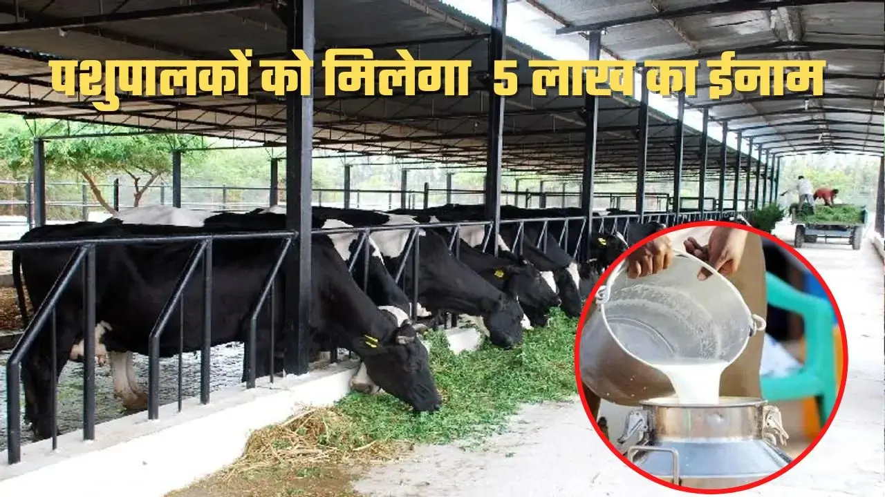 गोपाल रत्न पुरस्कार पशुपालकों को दिया जायेगा 5 लाख का ईनाम