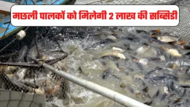fish estate scheme 2022 मछली पालकों को मिलेगी 2 लाख की सब्सिडी