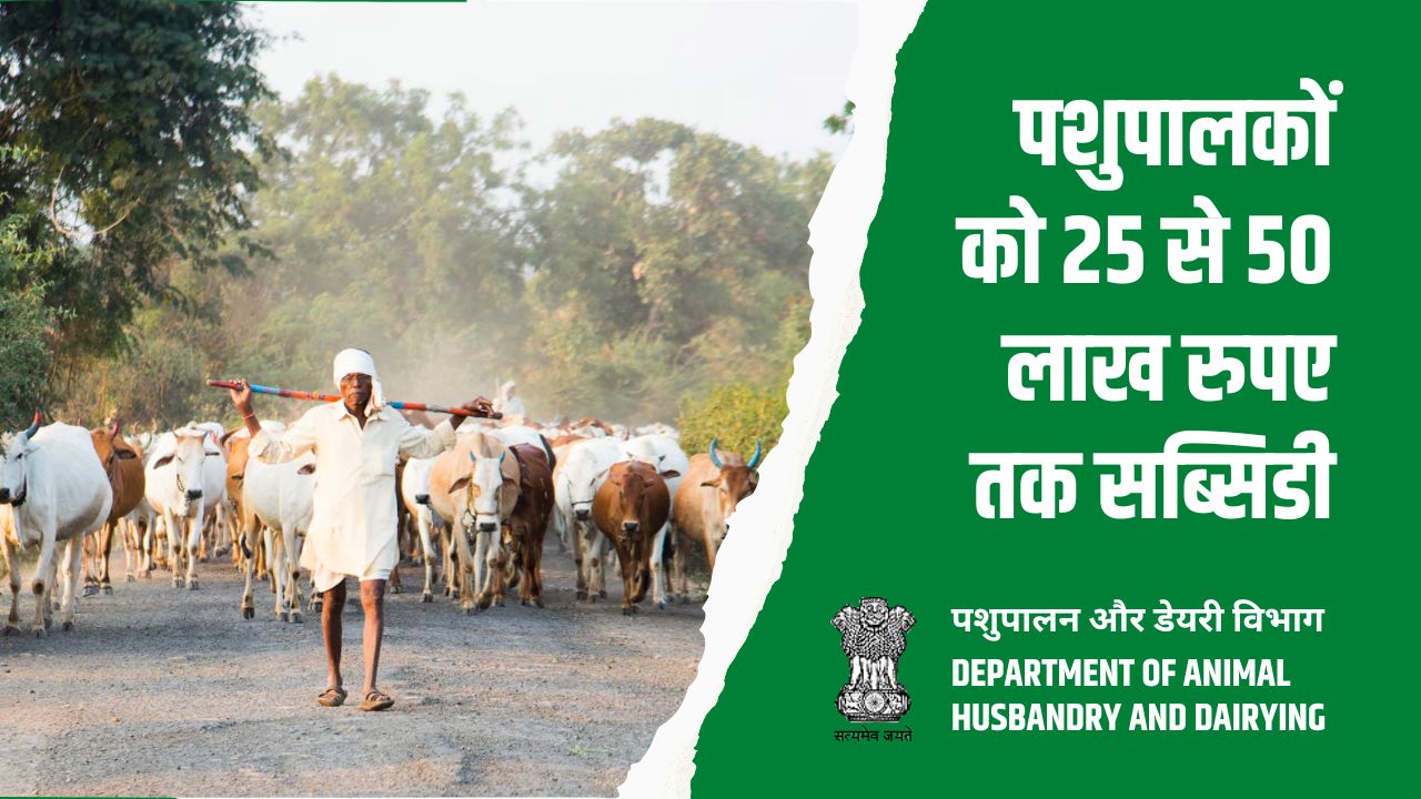 राष्ट्रीय पशुधन मिशन योजना 25 से 50 लाख रुपए तक की सब्सिडी