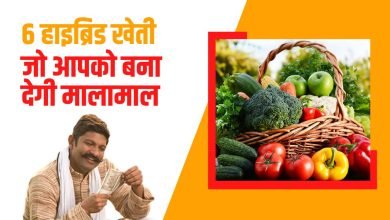 सब्जिया और उनकी उन्नत किस्मे