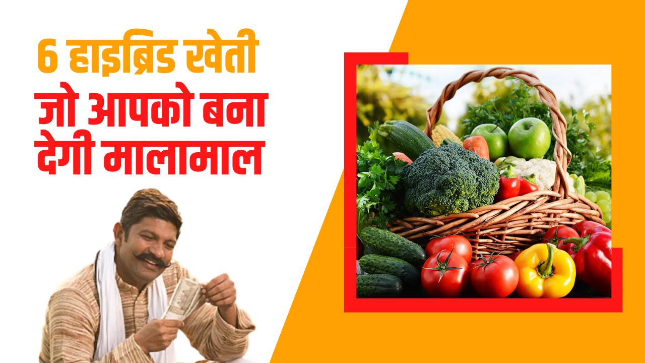 सब्जिया और उनकी उन्नत किस्मे