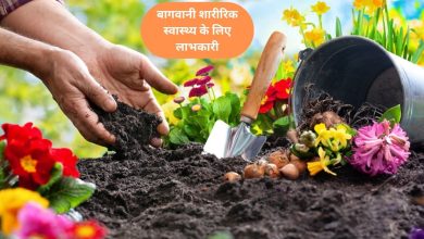 बागवानी शारीरिक स्वास्थ्य के लिए लाभकारी