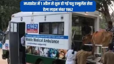 मध्यप्रदेश में 1 अप्रैल से शुरू हो गई पशु एम्बुलेंस सेवा, हेल्प लाइन नंबर 1962
