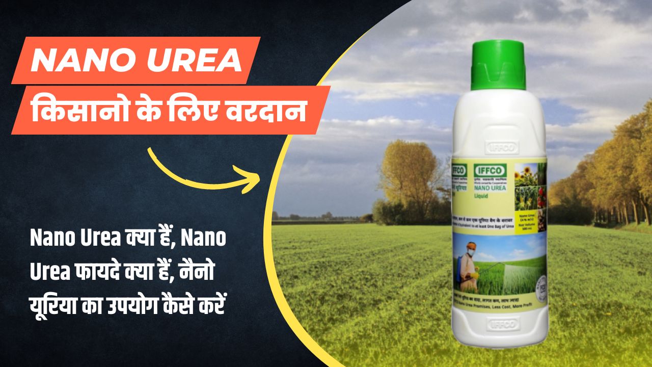 Nano Urea क्या हैं, Nano Urea के फायदे क्या हैं, नैनो यूरिया का उपयोग कैसे करें