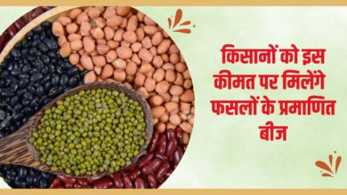 फसलों के प्रमाणित बीज की कीमत