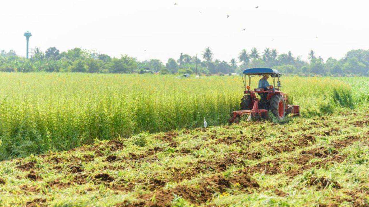 इस गर्मी खेतों में हरी खाद लगाएं किसान