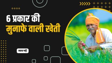 6 प्रकार की मुनाफे वाली खेती
