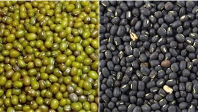 मुंग-और-उड़द-की-खरीदी