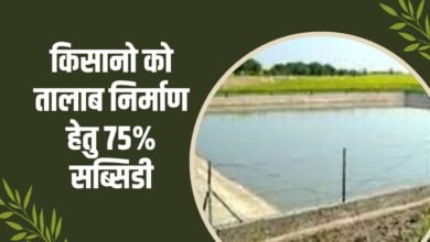 किसान 75% सब्सिडी पर तालाब निर्माण हेतु कहाँ आवेदन करें