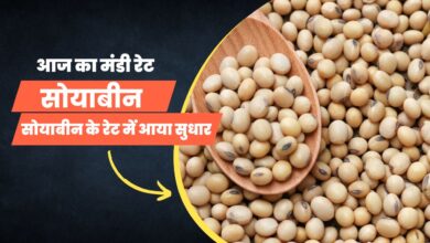 सोयाबीन का मंडी रेट