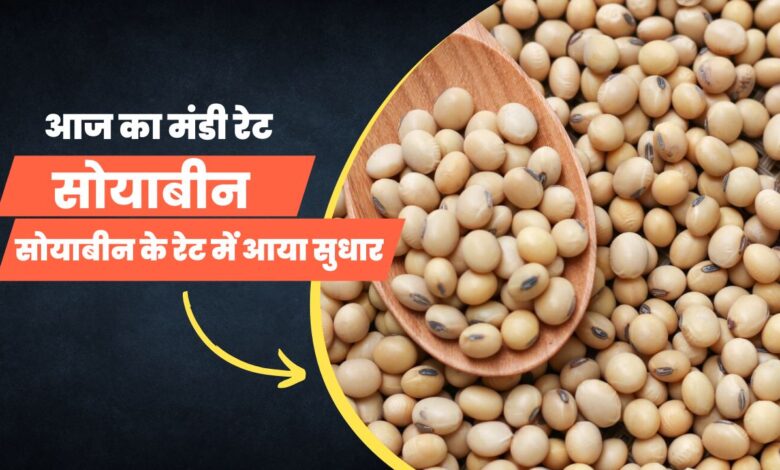 सोयाबीन का मंडी रेट