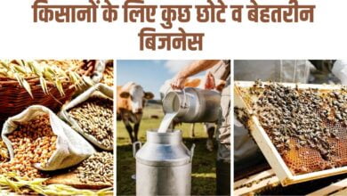 किसानों के लिए कुछ छोटे व बेहतरीन बिजनेस