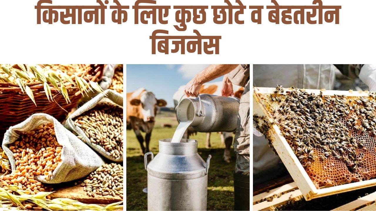 किसानों के लिए कुछ छोटे व बेहतरीन बिजनेस
