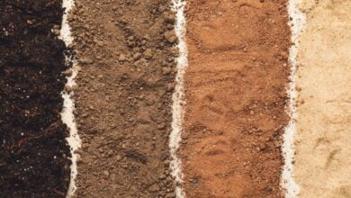 देश में पाई जाने वाली मिट्टी...