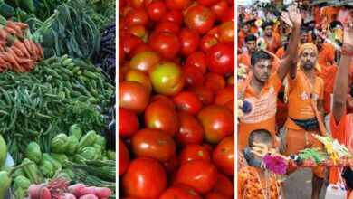 MP NEWS: बारिश और कांवड़ यात्रा के दौरान सब्जियों के दाम ओर बढ़ जाएंगे