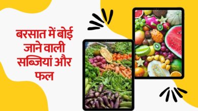 बरसात में बोई जाने वाली सब्जियां और फल