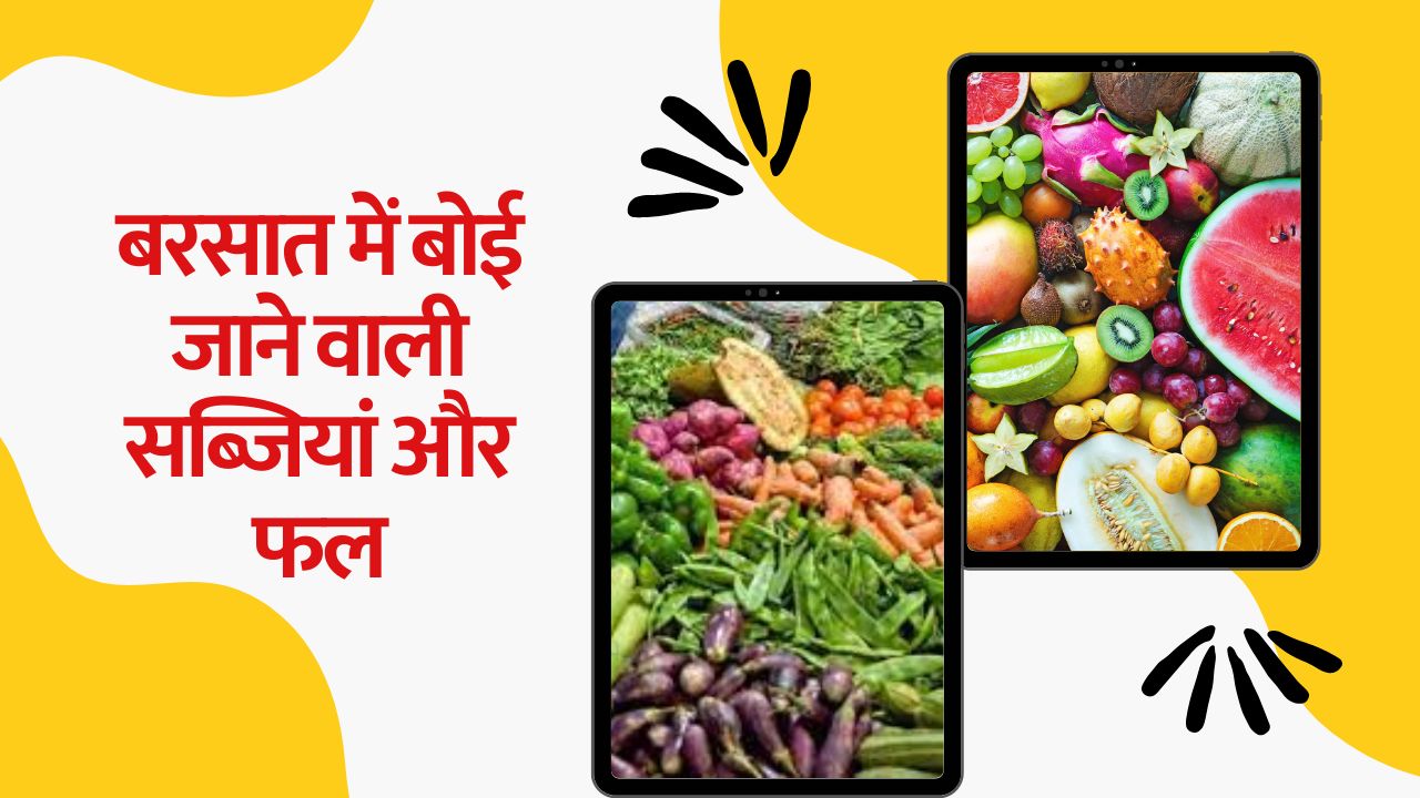 बरसात में बोई जाने वाली सब्जियां और फल