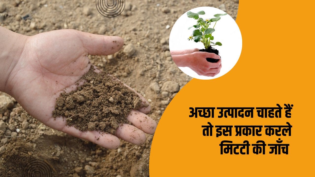 Soil Testing: बोवनी करने से पहले करें मिट्टी की जांच, जानिए अच्छी उपज ...