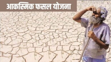 आकस्मिक फसल योजना: किसानों की मदद के लिए आगे आई सरकार, इस योजना के लाभ उठाने के लिए अभी आवेदन करें
