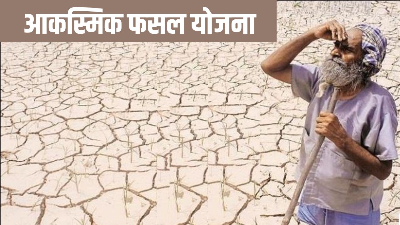 आकस्मिक फसल योजना: किसानों की मदद के लिए आगे आई सरकार, इस योजना के लाभ उठाने के लिए अभी आवेदन करें