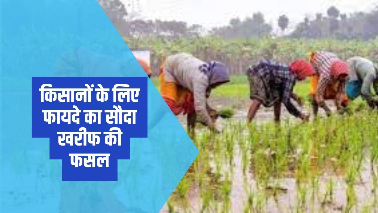 किसानों के लिए फायदे का सौदा खरीफ की फसल