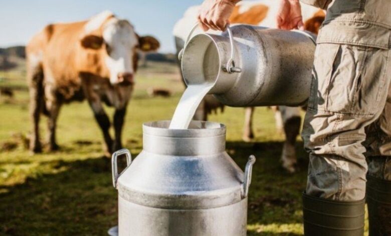 दूध उत्पादन