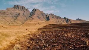 पर्वतीय मिट्टी   