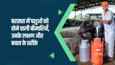 बरसात में पशुओं को होने वाली बीमारियाँ, उनके लक्षण, बचाव के तरीके