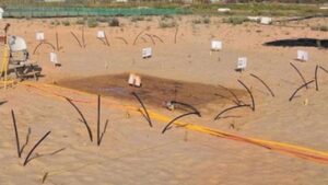 मरुस्थलीय मिट्टी और लवणीय मिट्टी 