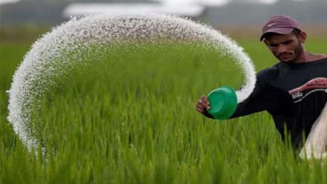 क्या होता है यूरिया गोल्ड, उपयोग से कैसे बढ़ जाएगी फसलों की पैदावार?
