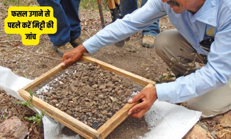 अच्छे बीज के साथ ही स्वस्थ मिट्टी होना बहुत आवश्यक
