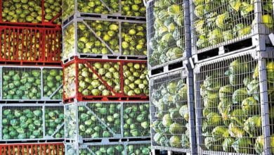 सब्सिडी पर कोल्ड स्टोरेज, राईपनिंग चैम्बर एवं कोल्ड रूम की स्थापना हेतु आवेदन करें