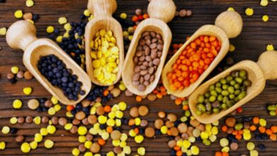 किसानों को फ्री में दिये जाएँगे अरहर, मूँग एवं उड़द के बीज