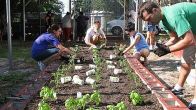 माली प्रशिक्षण योजना क्या है? जानिए माली प्रशिक्षण के लिए पात्रता